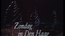 Paul van Vliet - Zondag in Den Haag