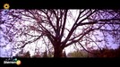 Amika  - Het is zomer 
