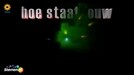 Gebroeders Ko - Hoe staat jouw boom erbij?