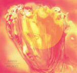 Amber Arcades 