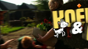 Koek en Ei De gezonde prikplant - Koek en Ei