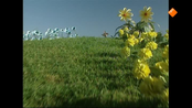 Teletubbies Teletubbies