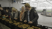 Boer zoekt Vrouw Boer zoekt vrouw - Boer zoekt Vrouw