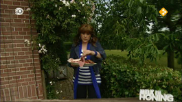 Afbeelding van Melk en Honing Special Dolf Jansen en Peter Schiffmacher