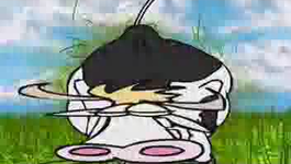 293554