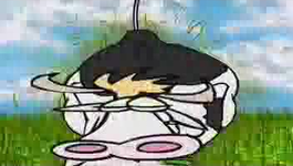 293557