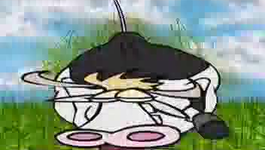 293560