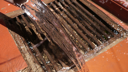 Afbeelding van De hele uitzending: Drugs in de riolen en 1Overheid