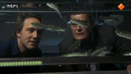 Afbeelding van Leren van de natuur