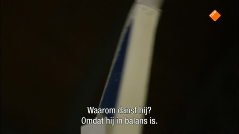 Wie wij zijn