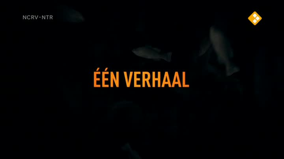 Afbeelding van De geheimen van Barslet