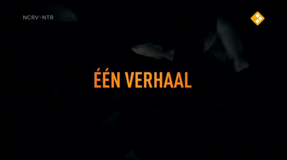 Afbeelding van De geheimen van Barslet
