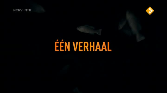 Afbeelding van De geheimen van Barslet