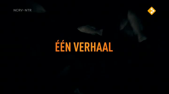 Afbeelding van De geheimen van Barslet