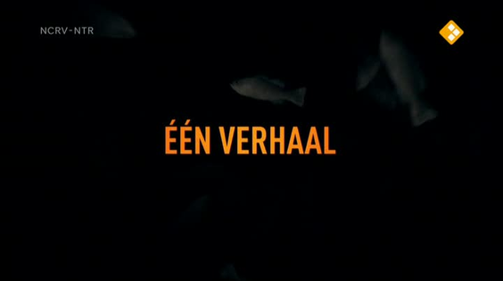 Afbeelding van De geheimen van Barslet