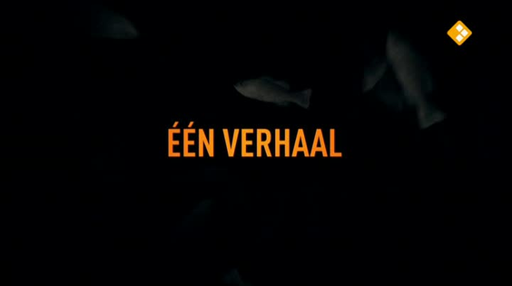 Afbeelding van De geheimen van Barslet