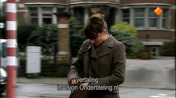 Afbeelding van Witse