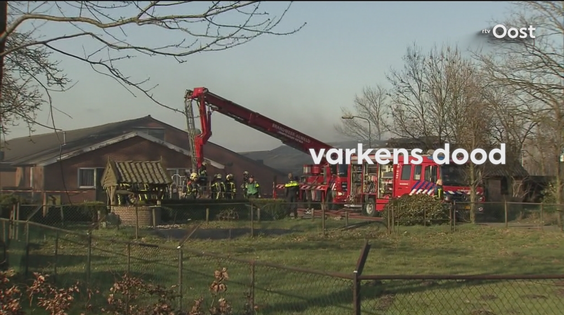 Afbeelding van Overijssel Vandaag