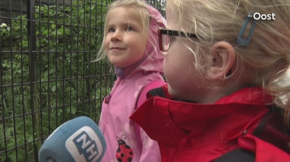 Afbeelding van RegioNed