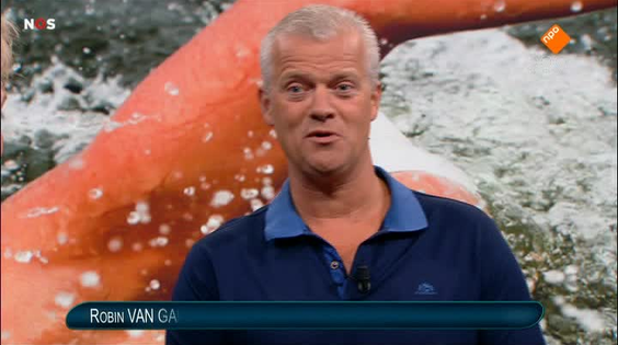 Afbeelding van NOS Studio Rio