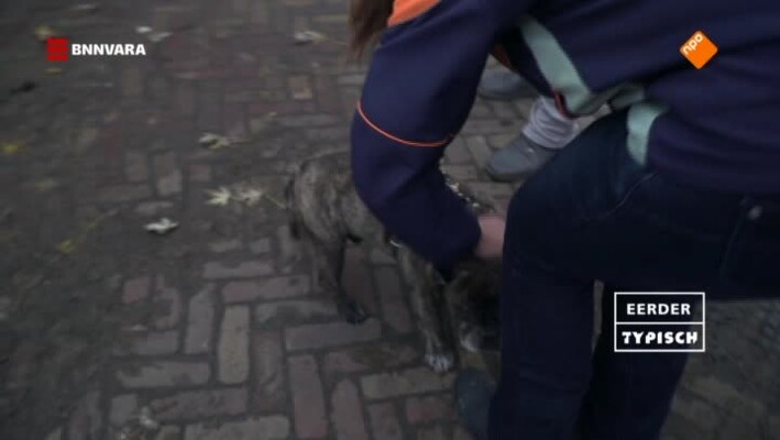 Typisch Wielenpôlle - 5 maart 2018