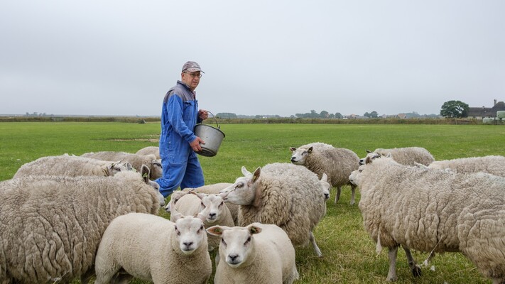 Typisch Oosterend - Texel - Aflevering 9: Vader en zoon