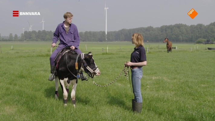 Lex bij een achtienjarige boerin