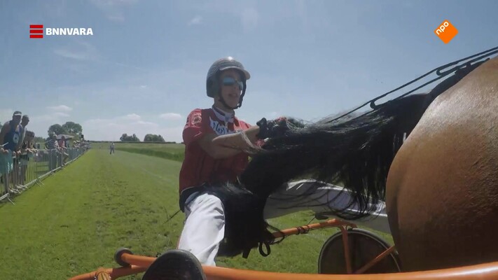 Lex bij een paardenliefhebber 2