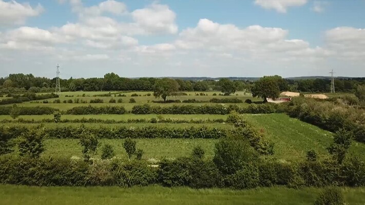 Vroege Vogels TV | 31 mei 2019 | De Maasheggen