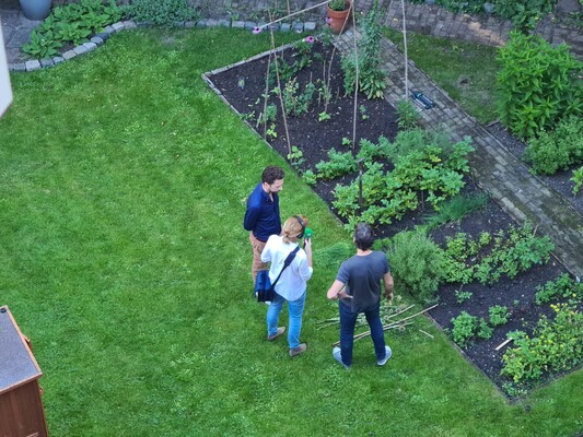 De tuin van het concertgebouw