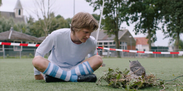 All Stars & Zonen - Aflevering 8: Dwaalgast