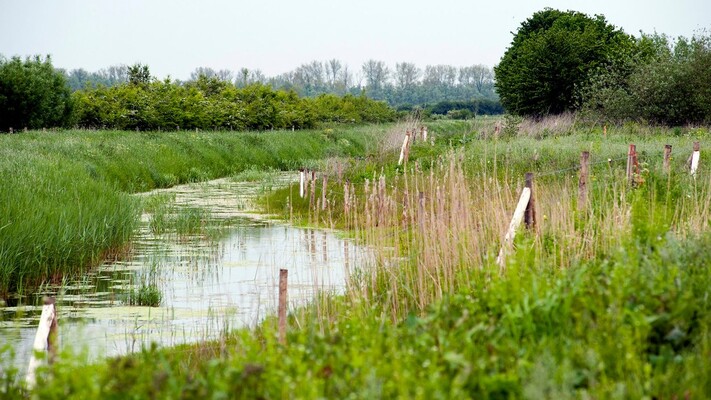 Burger mag meepraten over natuurherstelwet