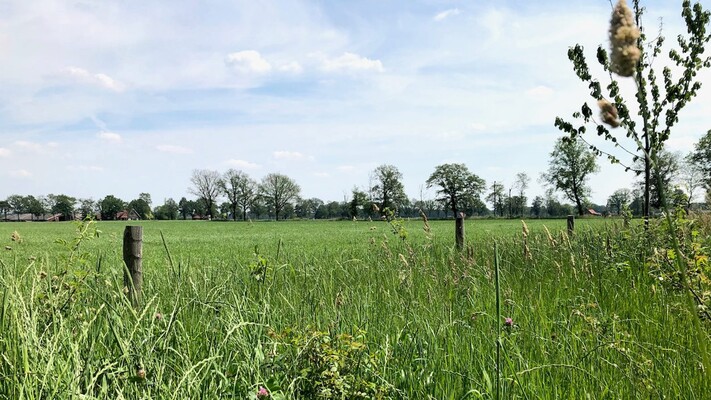 Berkelland maakt einde aan ‘landjepik’