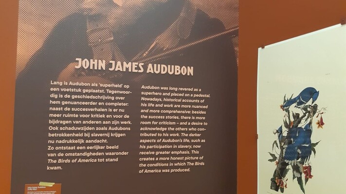 Teylers museum toont rol slavernij in Audubons werk