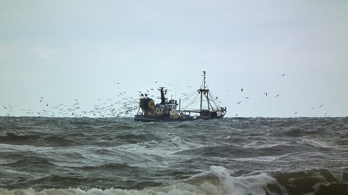 Aantal geulen in Waddenzee gesloten voor garnalenvisserij