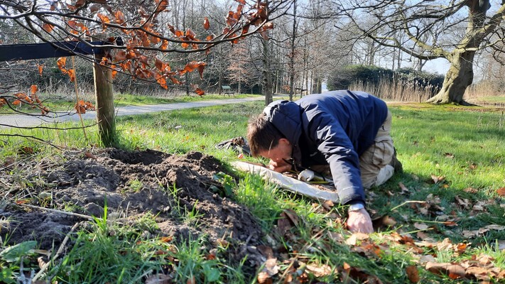 Wat zoeken kevers in mollennesten?
