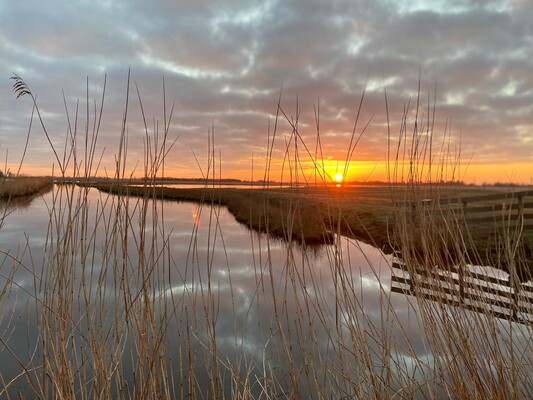 Vroege Vogels TV | 23 april 2022 | Hollandse Waterlinies