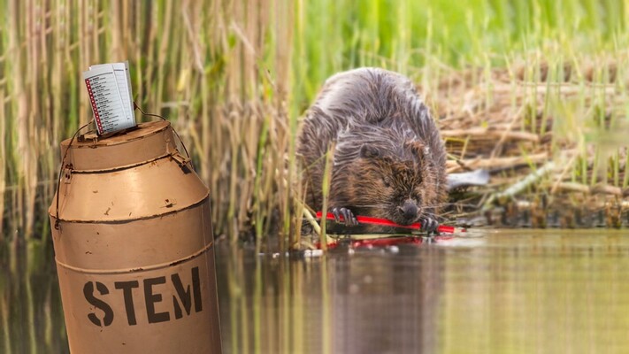 Hoe geven politieke partijen de natuur een stem in de verkiezingen?