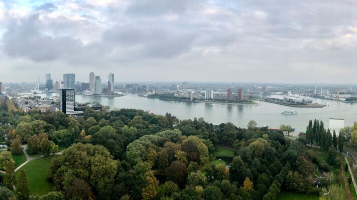 Rotterdamse boeren krijgen ruimte om te vergroenen