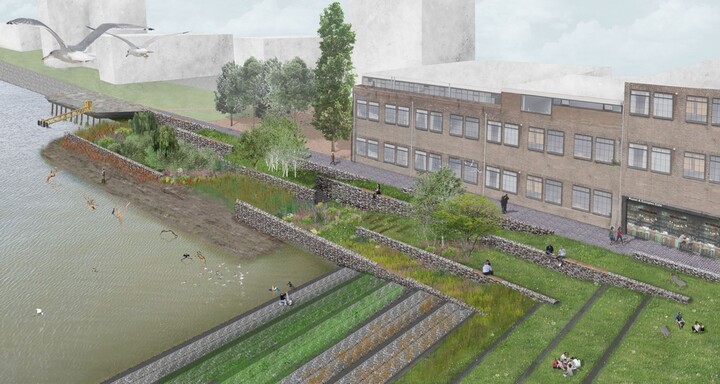 Stenen kades van haven Rotterdam worden natuur