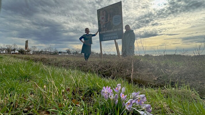 Zelfoogsttuin Wortels in Breda moet wijken - Vroege Vogels