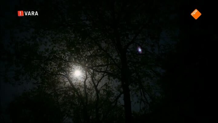 Vroege Vogels - 1 december 2015