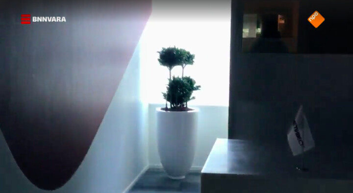 All you need is... een kamerplant