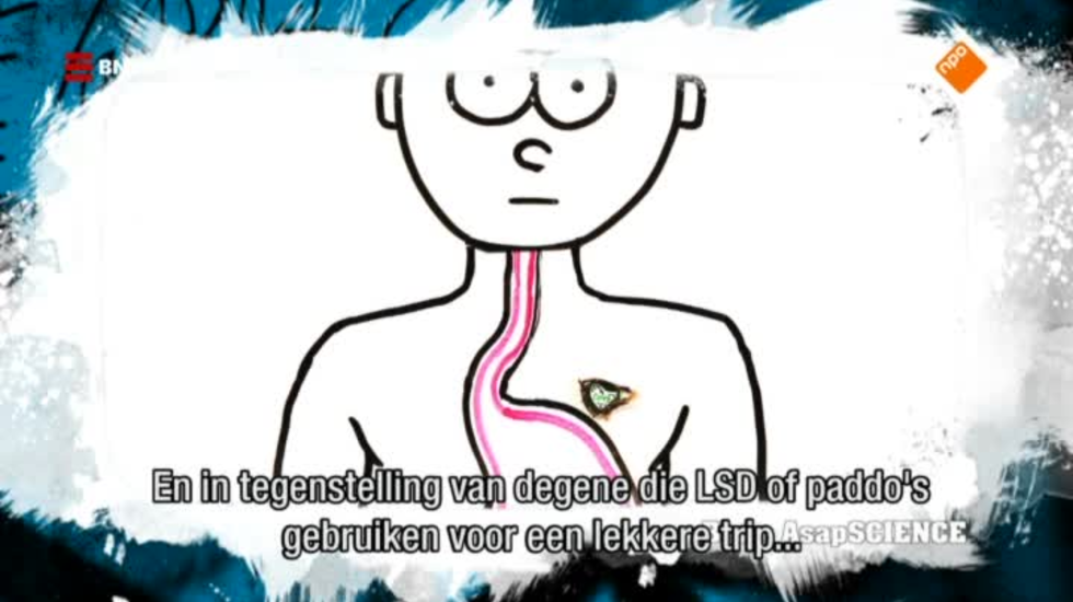 Ayahuasca