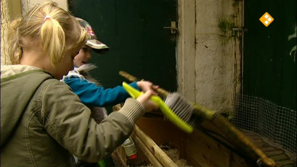 Afbeelding van KRO Kindertijd