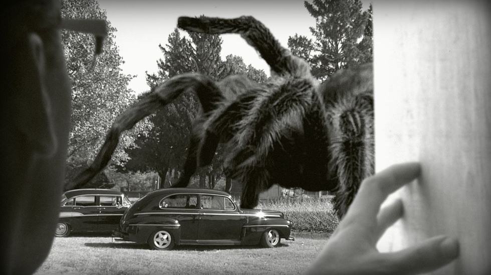 Insecten als filmsterren in Hollywood