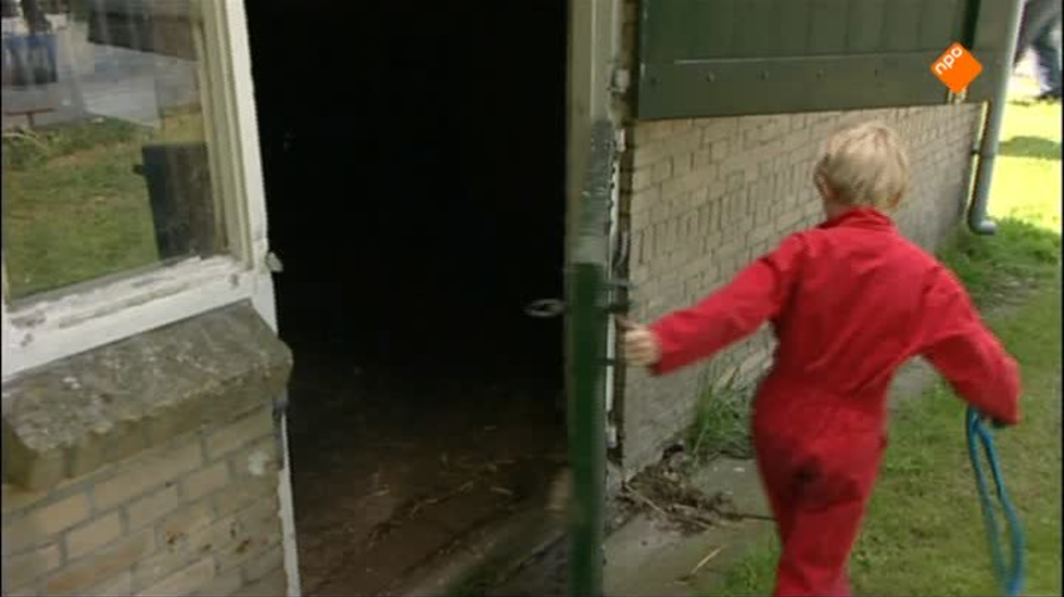 Afbeelding van KRO Kindertijd