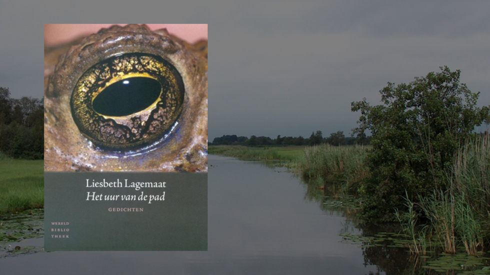 Afbeelding van Liesbeth Lagemaat