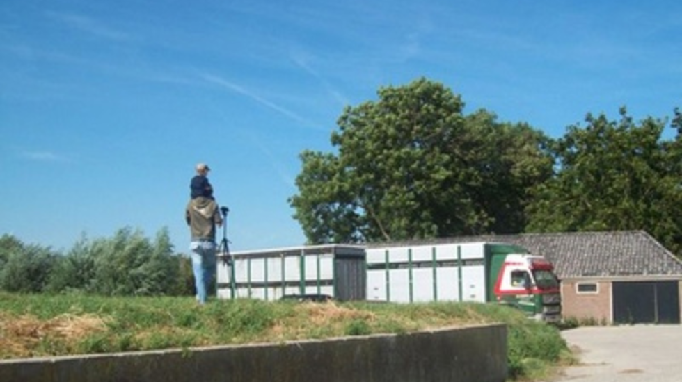 Afbeelding van Wacht op koe