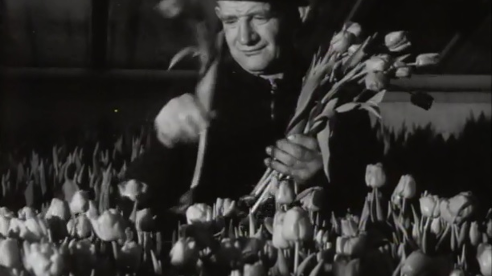 Bloemen in de winter